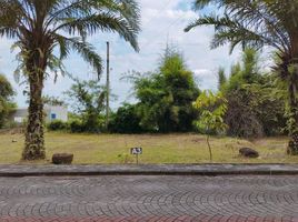  Land for sale in Mlati, Sleman, Mlati