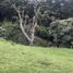  Land for sale in Marinilla, Antioquia, Marinilla