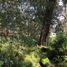  Land for sale in Singuilucan, Hidalgo, Singuilucan