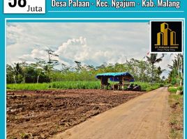  Land for sale in Kepanjen, Malang Regency, Kepanjen