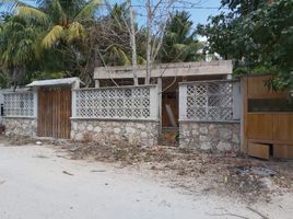  Grundstück zu verkaufen in Tizimin, Yucatan, Tizimin