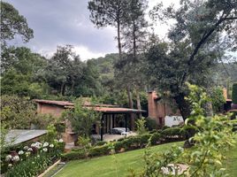 Villa 4 chambre à louer à Valle De Bravo, Mexico, Valle De Bravo
