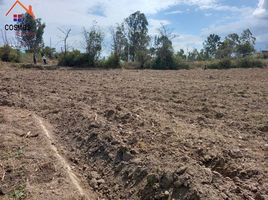  Terreno (Parcela) en venta en Antonio Ante, Imbabura, San Jose De Chaltura, Antonio Ante