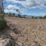  Land for sale in Antonio Ante, Imbabura, San Jose De Chaltura, Antonio Ante