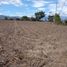  Land for sale in Imbabura, San Jose De Chaltura, Antonio Ante, Imbabura