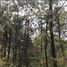  Terreno (Parcela) en venta en Mazamitla, Jalisco, Mazamitla