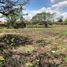  Terreno (Parcela) en alquiler en Zapotlanejo, Jalisco, Zapotlanejo