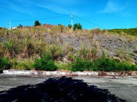  Grundstück zu verkaufen in Cebu City, Central Visayas, Cebu City, Cebu, Central Visayas, Philippinen