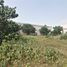  Terreno (Parcela) en venta en Tlaltizapan, Morelos, Tlaltizapan, Morelos