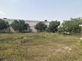  Terreno (Parcela) en venta en Tlaltizapan, Morelos, Tlaltizapan, Morelos