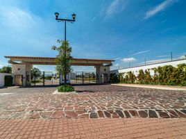 Grundstück zu verkaufen in El Marques, Queretaro, El Marques
