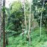  Land for sale in Selemadeg, Tabanan, Selemadeg