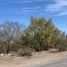  Land for sale in Doctor Gonzalez, Nuevo Leon, Doctor Gonzalez
