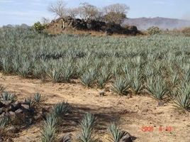 Terrain à vendre à Acatlan De Juarez, Jalisco, Acatlan De Juarez