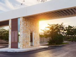  Grundstück zu verkaufen in Conkal, Yucatan, Conkal