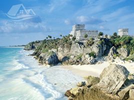  Grundstück zu verkaufen in Cozumel, Quintana Roo, Cozumel