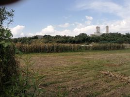  Terreno (Parcela) en venta en Zapopan, Jalisco, Zapopan, Jalisco