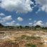  Land for sale in Ajacuba, Hidalgo, Ajacuba