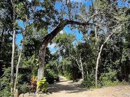  Land for sale in Cozumel, Quintana Roo, Cozumel