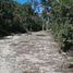  Land for sale in Cozumel, Quintana Roo, Cozumel