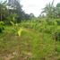  Land for sale in Ubud, Gianyar, Ubud