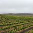  Grundstück zu verkaufen in Ensenada, Baja California, Ensenada