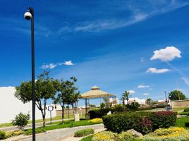 在Aguascalientes出售的 土地, Aguascalientes, Aguascalientes