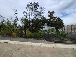  Grundstück zu verkaufen in Morelia, Michoacan, Morelia