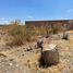  Land for sale in Lagos De Moreno, Jalisco, Lagos De Moreno