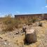  Land for sale in Lagos De Moreno, Jalisco, Lagos De Moreno