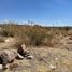  Land for sale in Lagos De Moreno, Jalisco, Lagos De Moreno