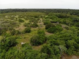  Land for sale in Maria Chiquita, Portobelo, Maria Chiquita