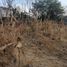  Land for sale in Temixco, Morelos, Temixco