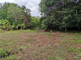  Terrain for sale in Penonome, Cocle, Cocle, Penonome