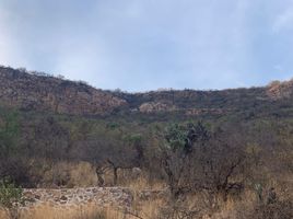 在墨西哥出售的 土地, Tequisquiapan, Queretaro, 墨西哥