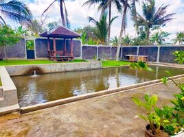2 Habitación Casa en venta en Mlati, Yogyakarta, Mlati