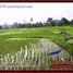  토지을(를) Tegallalang Rice Terrace, Tegallalang에서 판매합니다., Tegallalang