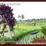  Tanah for sale in Tegallalang Rice Terrace, Tegallalang, Tegallalang