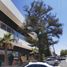 在Aguascalientes出租的1 卧室 屋, Aguascalientes, Aguascalientes
