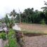  Land for sale in Tampak Siring, Gianyar, Tampak Siring