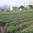  Terreno (Parcela) en venta en Sumurbandung, West Jawa, Sumurbandung, Bandung, West Jawa