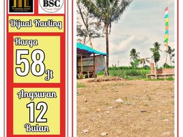  Land for sale in Kepanjen, Malang Regency, Kepanjen