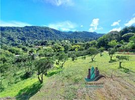  Land for sale in Jaramillo, Boquete, Jaramillo