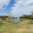  Land for sale in Montemorelos, Nuevo Leon, Montemorelos, Nuevo Leon