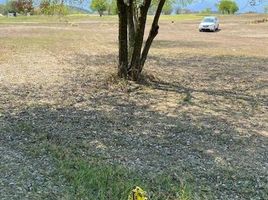  Land for sale in Montemorelos, Nuevo Leon, Montemorelos, Nuevo Leon