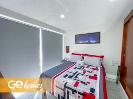 Maison 3 chambre à vendre à Tequisquiapan, Queretaro, Tequisquiapan