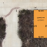  Land for sale in Tixpehual, Yucatan, Tixpehual