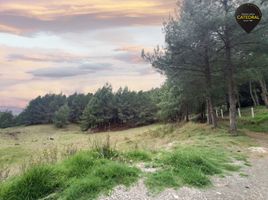  Terreno (Parcela) en venta en Tarqui, Cuenca, Tarqui