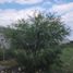  Land for sale in Cadereyta Jimenez, Nuevo Leon, Cadereyta Jimenez