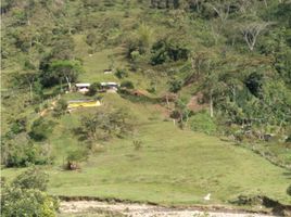  Casa en venta en Alejandria, Antioquia, Alejandria